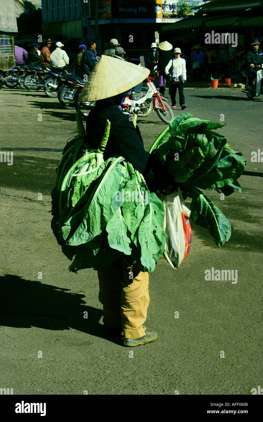 Vietnamese Cauliflower Vendor Stock Photo