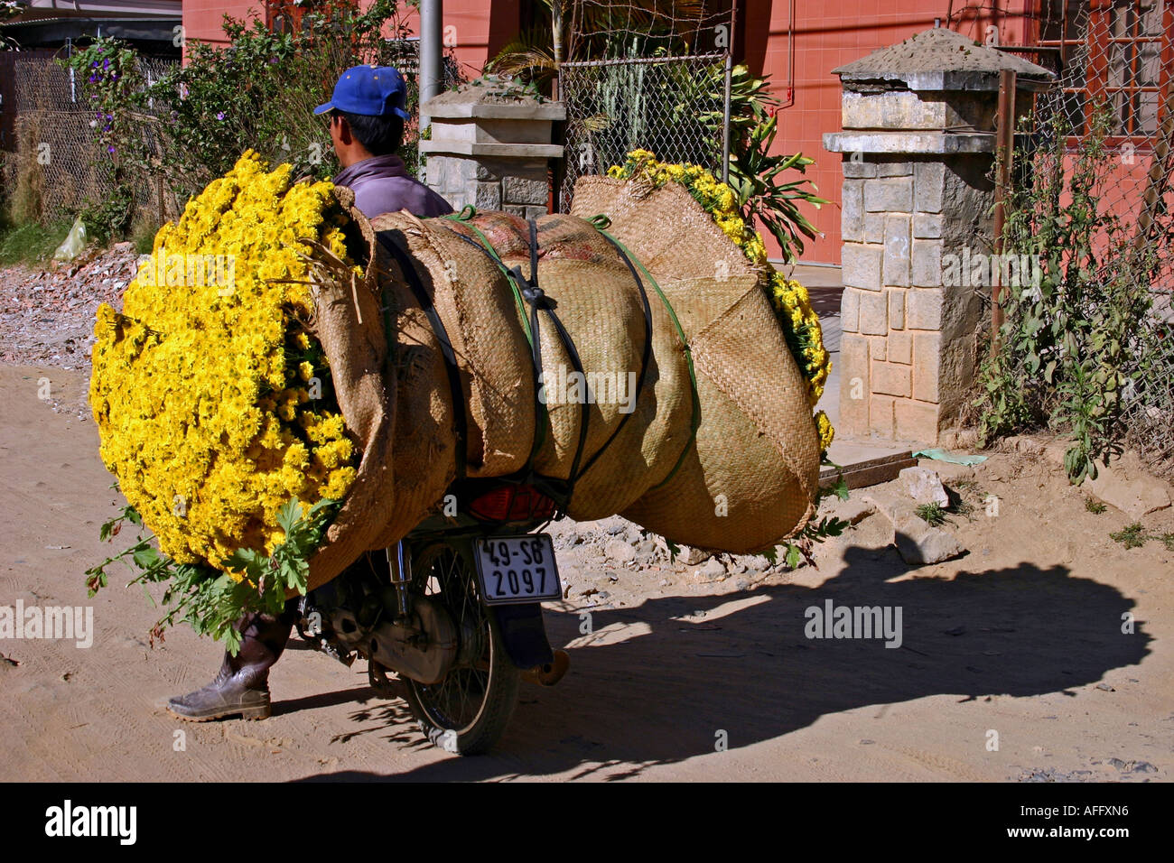 Vietnamese Marigolds go to Market Stock Photo