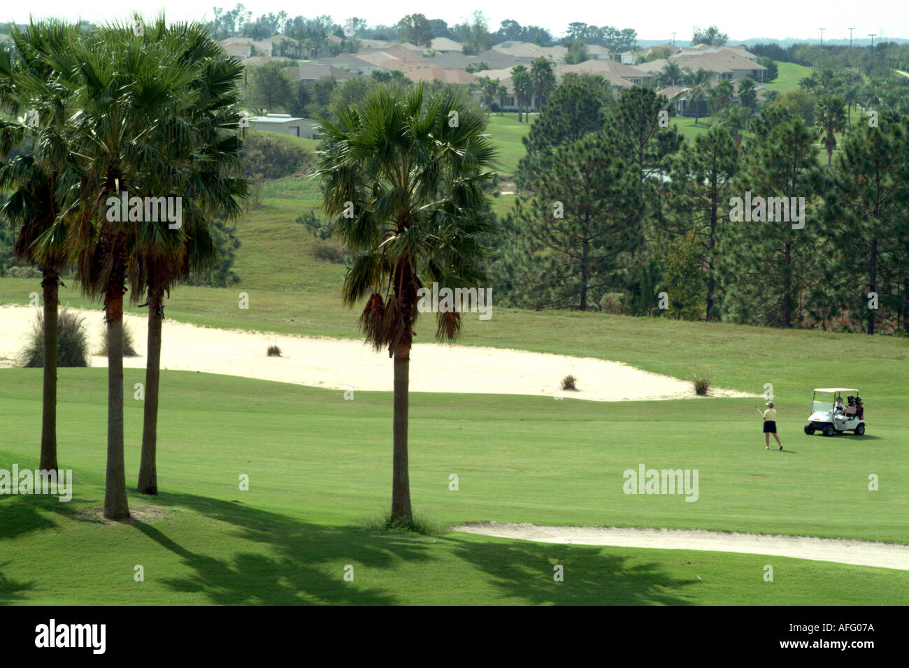 Summerfield usa
