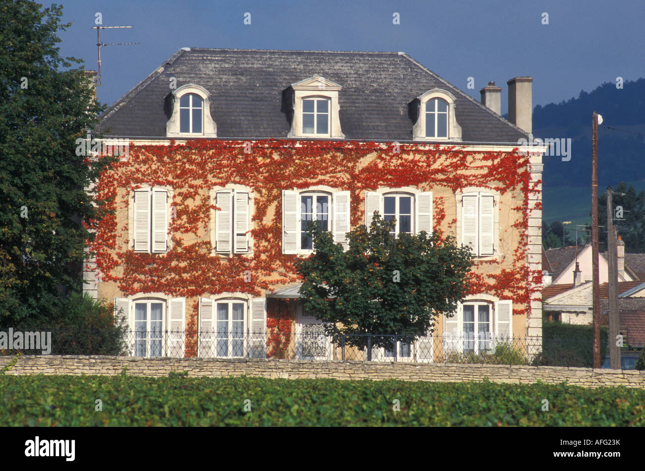 Typical house in Pommard Burgundy France Stock Photo
