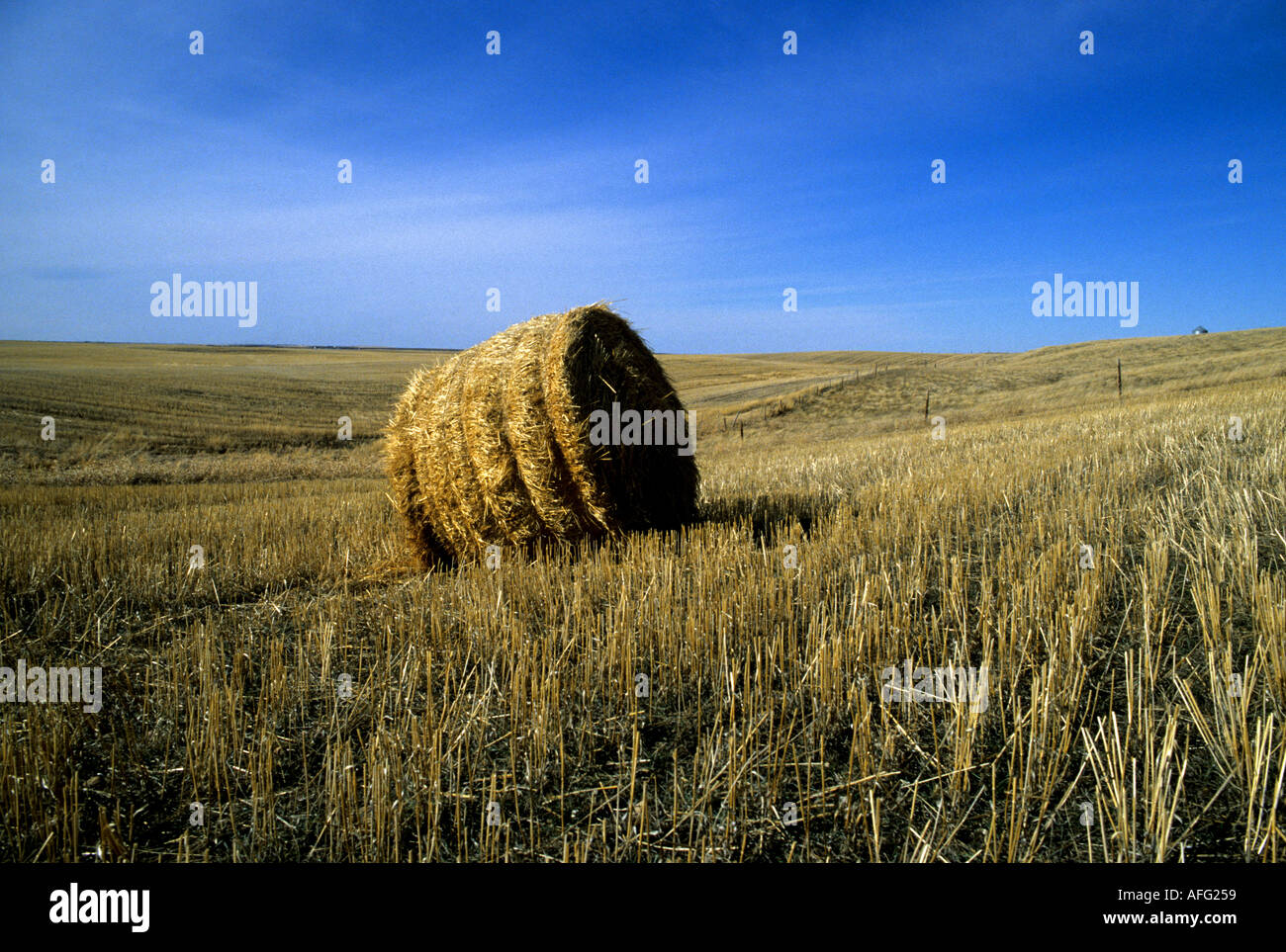 Lone Hay bale of in field near Blackie Alberta Stock Photo