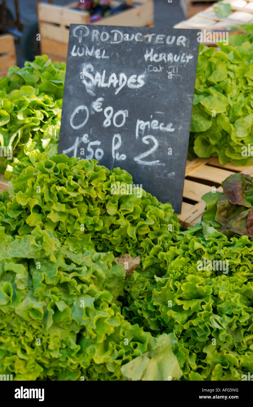 Various lettuce varieties for sale on a typical French Market in the