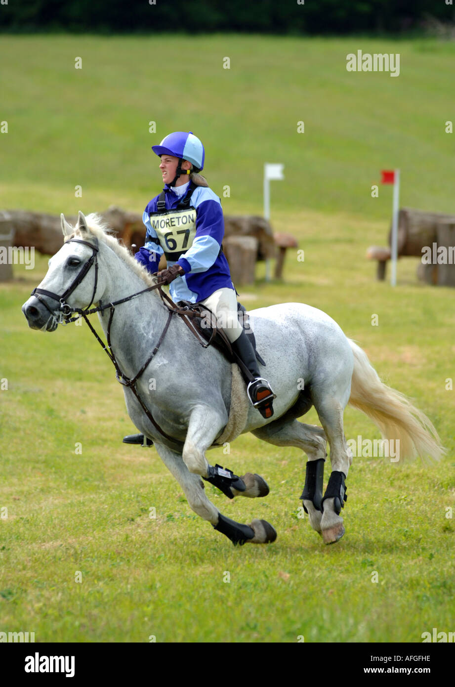 Horse and rider at full gallop during a one day eventing competition at Moreton in Dorset Britain UK Stock Photo
