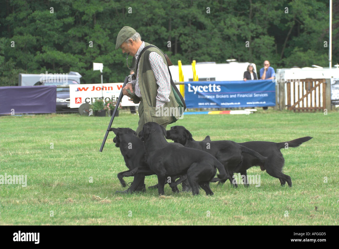 John Halstead with four of his Drakeshead Labaradors during a demonstaton at Lowther 2005 Stock Photo