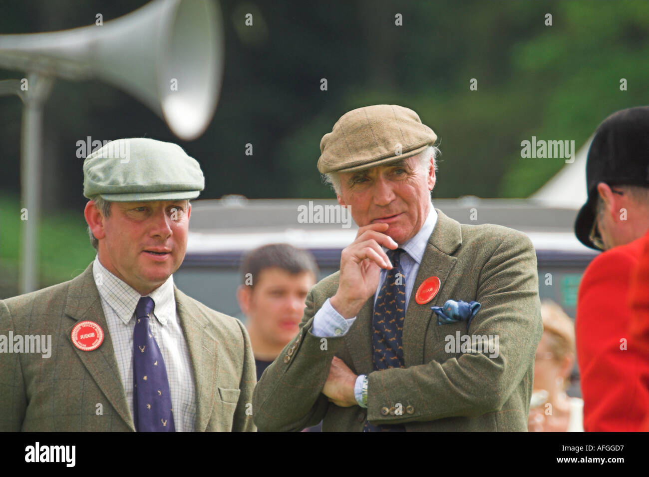 Judges consider their decision at the Vale of Rydal Hound Show Stock Photo