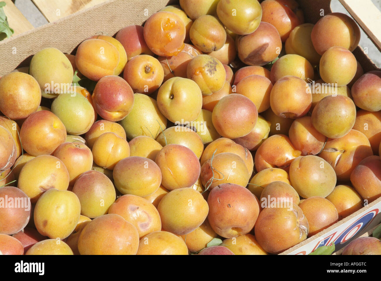 Plums Plum Soft Fruit Five Per Day Portion Fibre Roughage Stock Photo Alamy