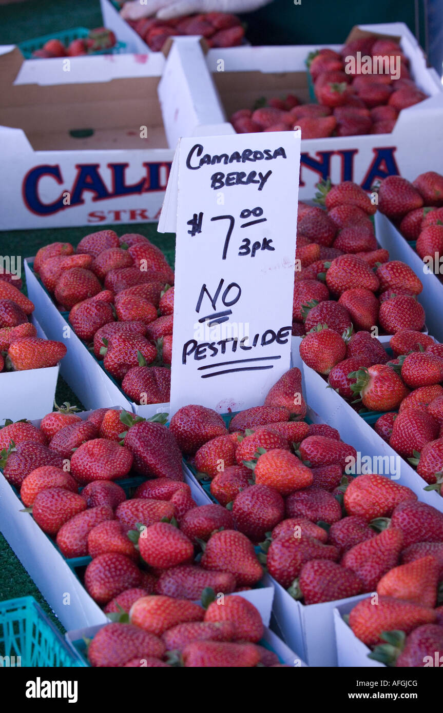 Boxes of fresh strawberries for sale at the Santa Monica Farmer s