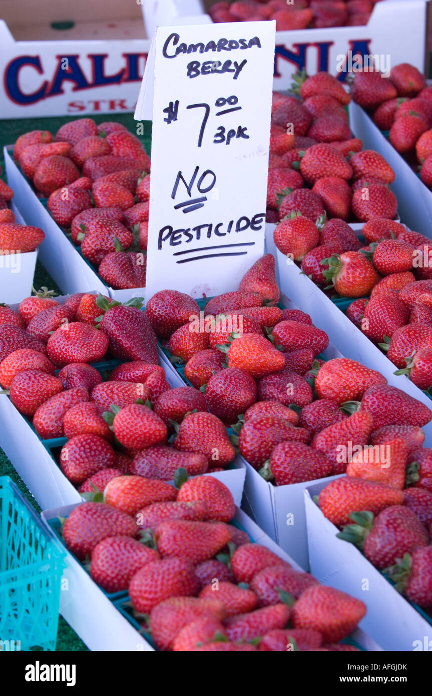 Farmers Market in Santa Monica offers Strawberries and other fruit for