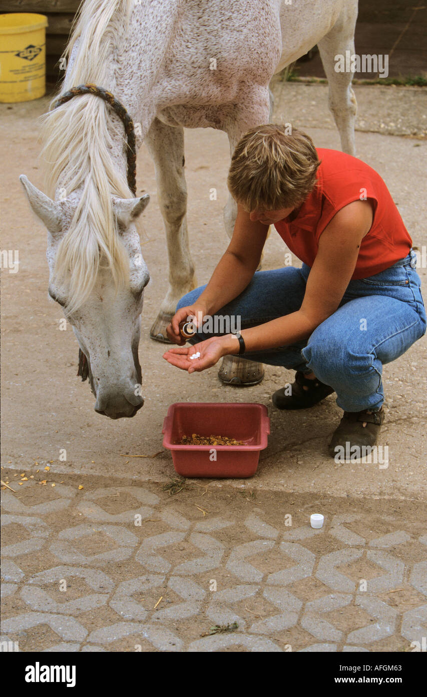 horse getting tablets Stock Photo Alamy