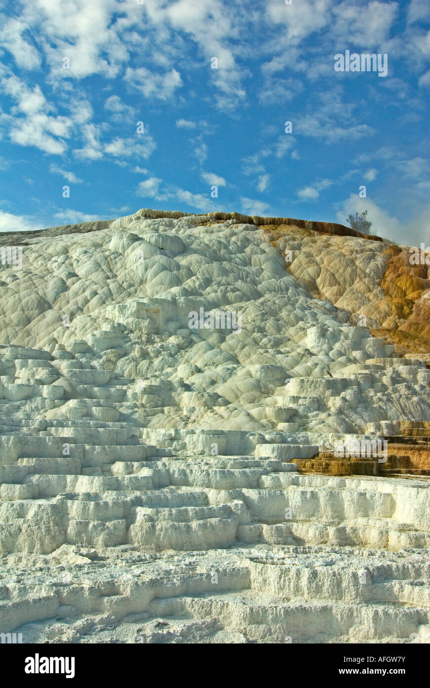 Mommoth Hot Springs YellowStone National Park terraces made of crystallized calcium carbonate Stock Photo