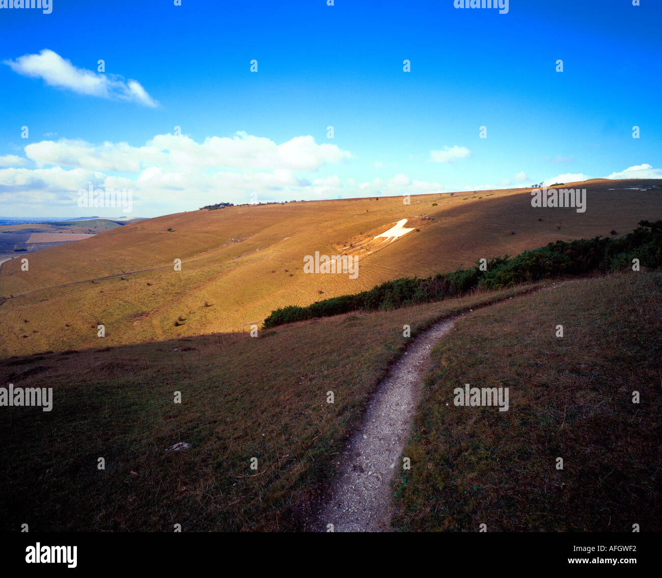 Alton Barnes white horse on Milk Hill Wiltshire UK Stock Photo Alamy
