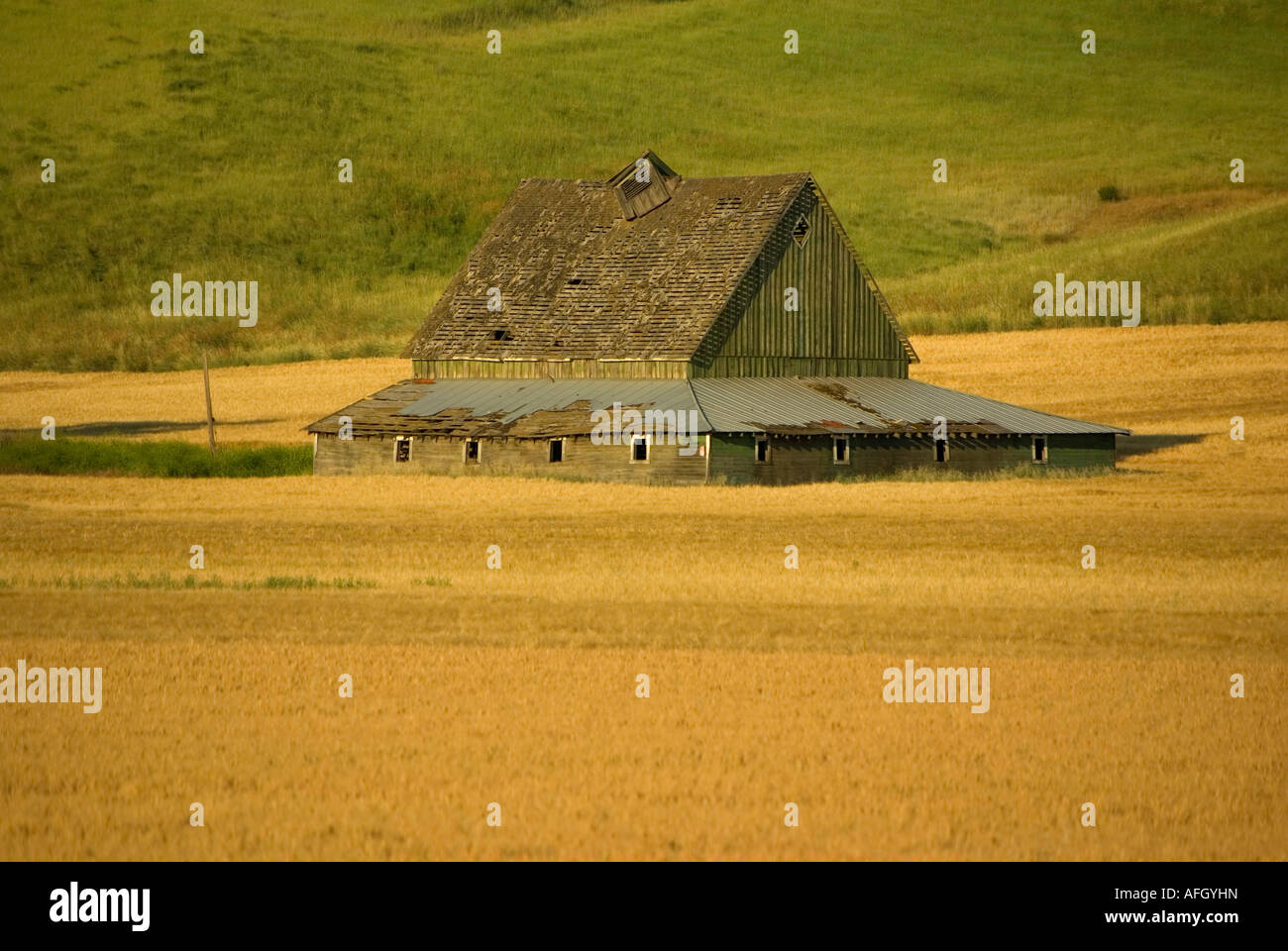 Palouse Wheat Field Eastern Washington State barn Stock Photo Alamy