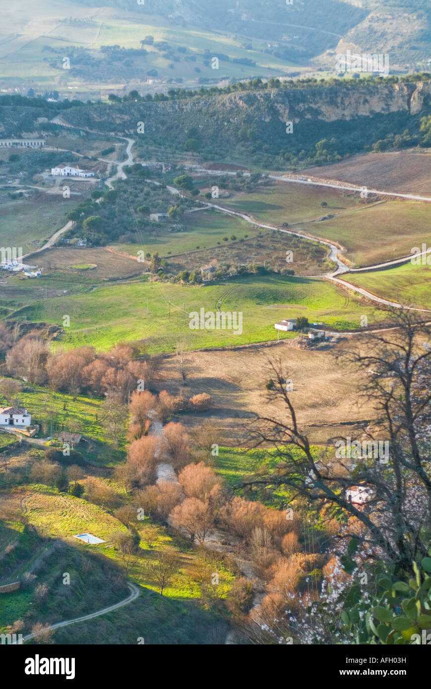 Scenery in countryside around Ronda Andalusia Spain Stock Photo