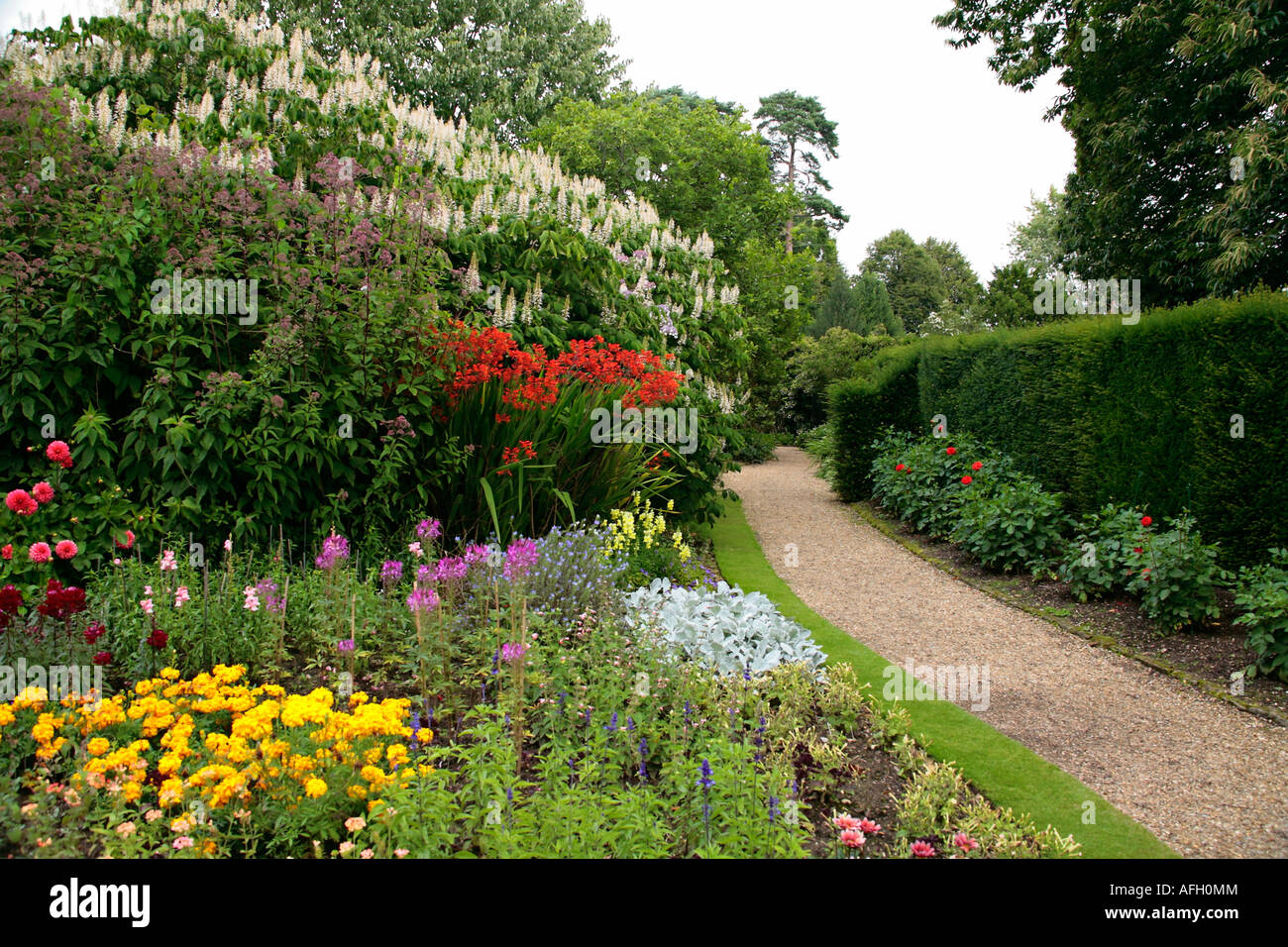 Colourful summer flower border in an English garden Stock Photo