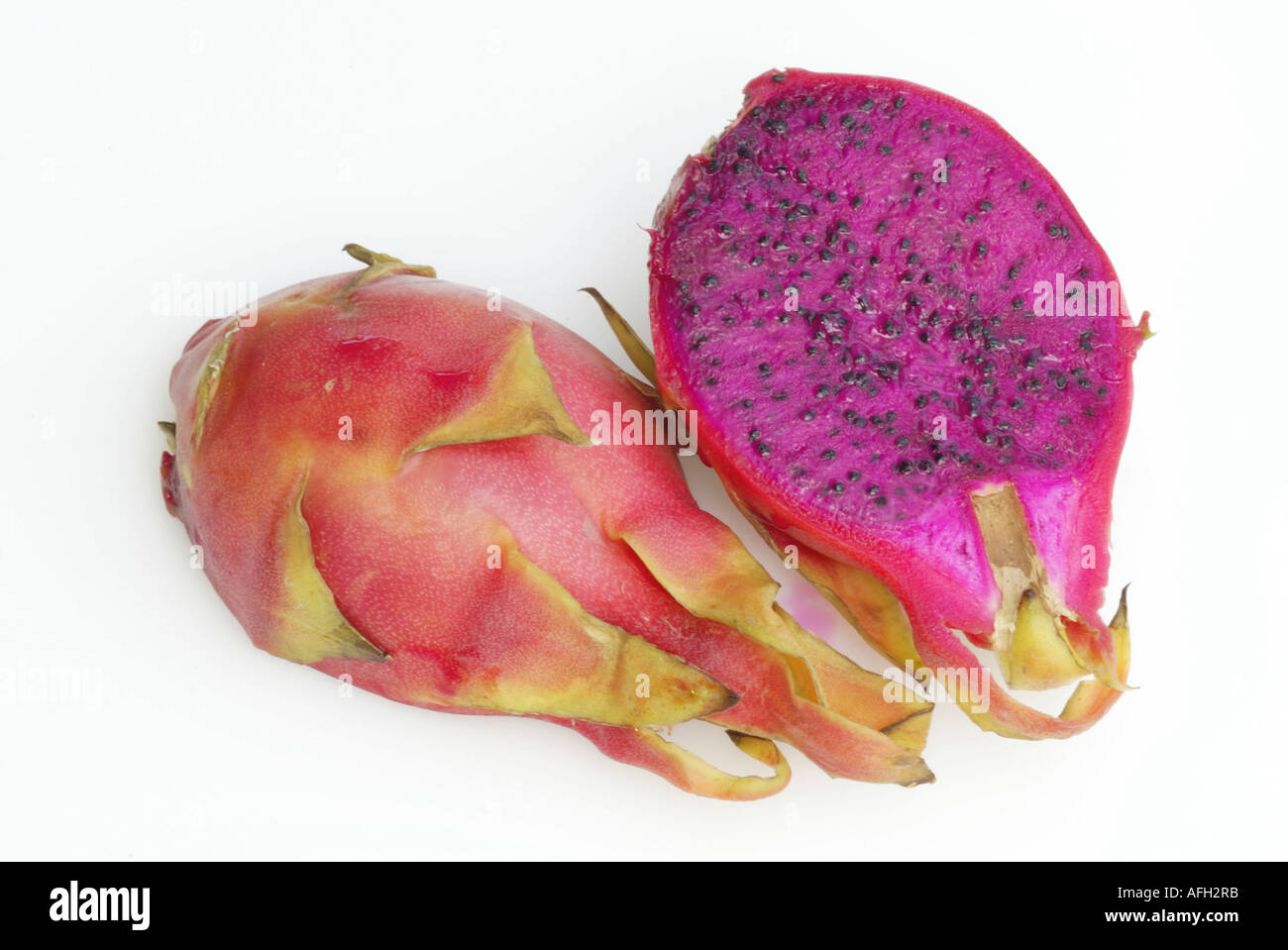 Dragonfruit / (Hylocereus triangularis) Stock Photo