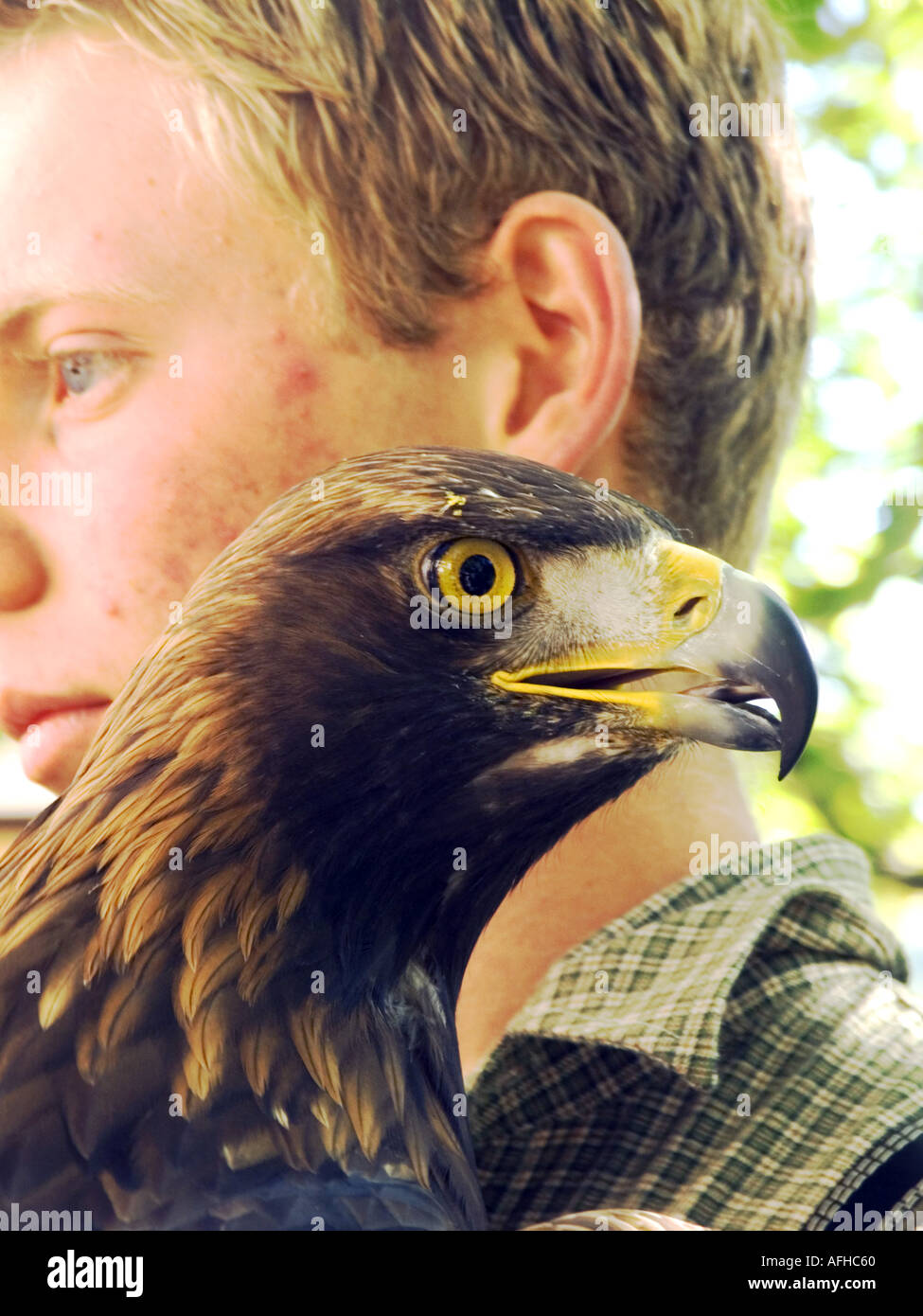 Eagle Beer Stock Photos Eagle Beer Stock Images Alamy