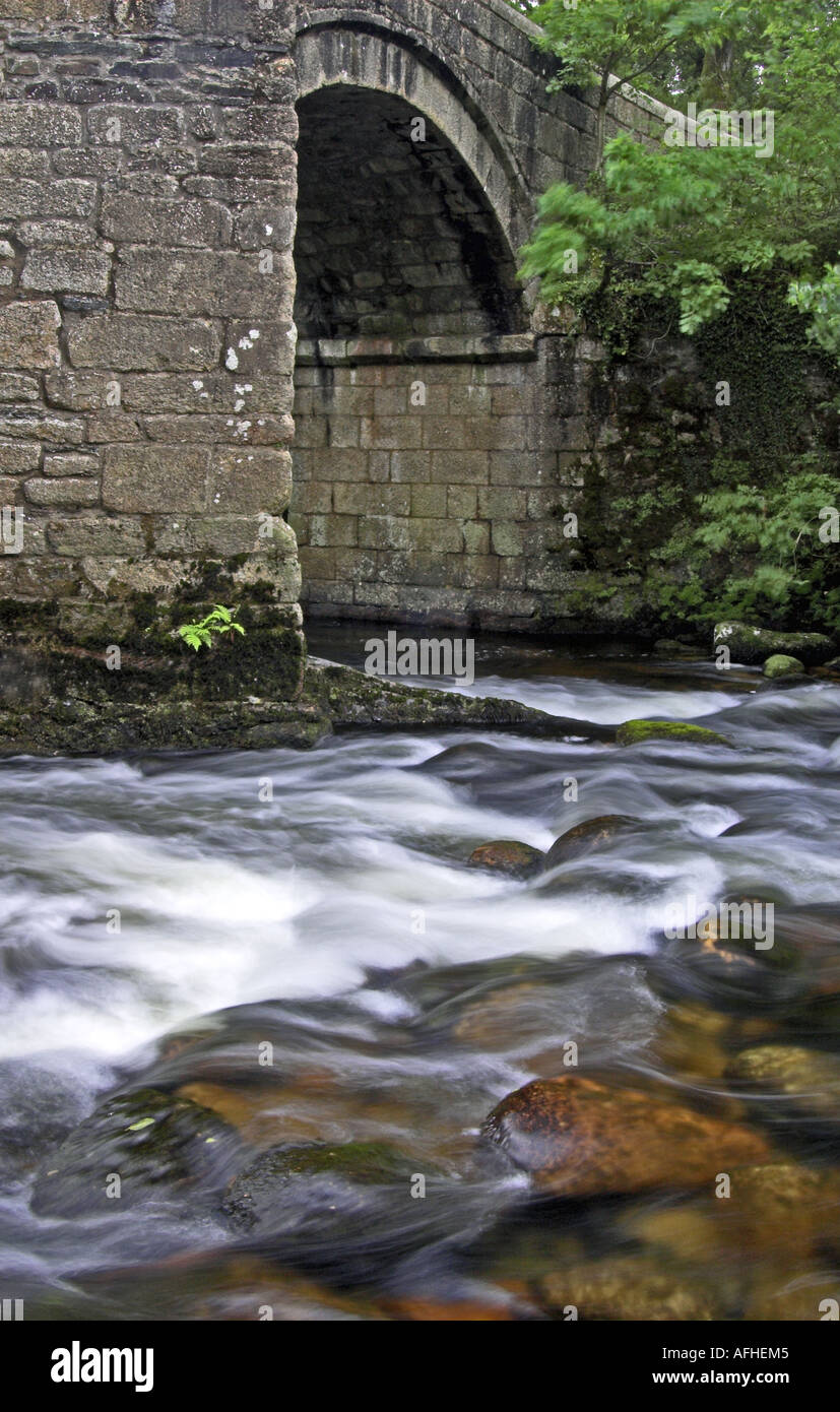 New Bridge over the River Dart in Dartmoor, Devon, England Stock Photo