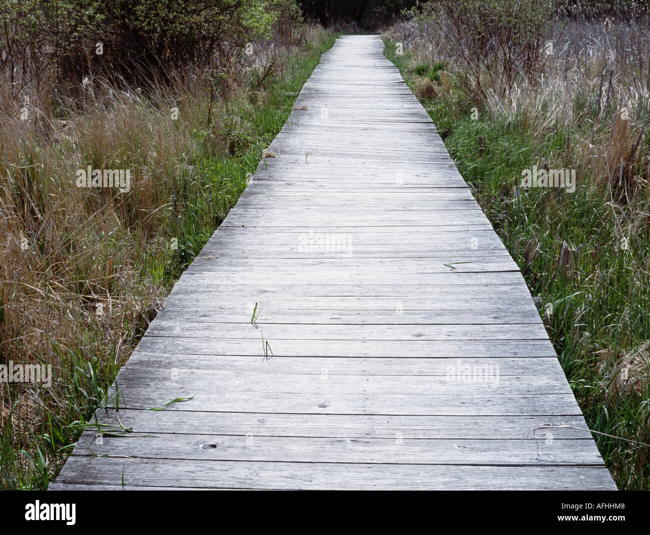 Placeable Path Michigan park walk path hi-res stock photography and images - Alamy