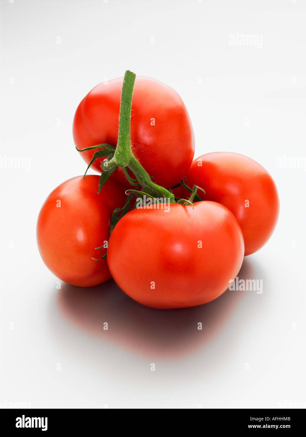 Vine tomatoes on white background Stock Photo - Alamy
