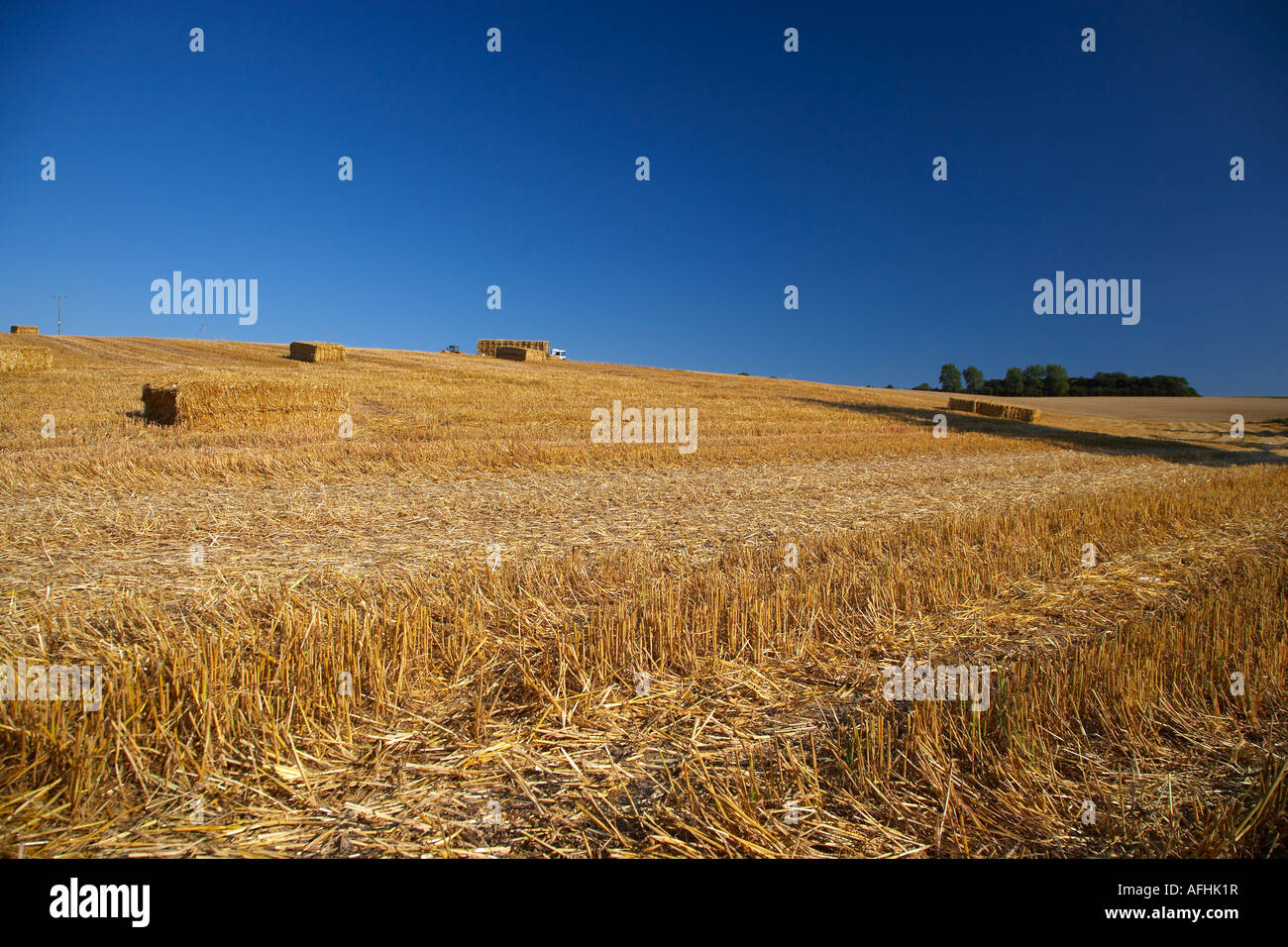Loading Straw Bales, England, UK Stock Photo Alamy