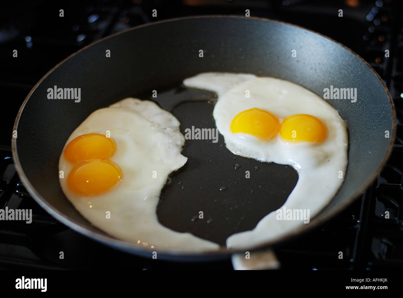 Fertilised eggs hires stock photography and images Alamy