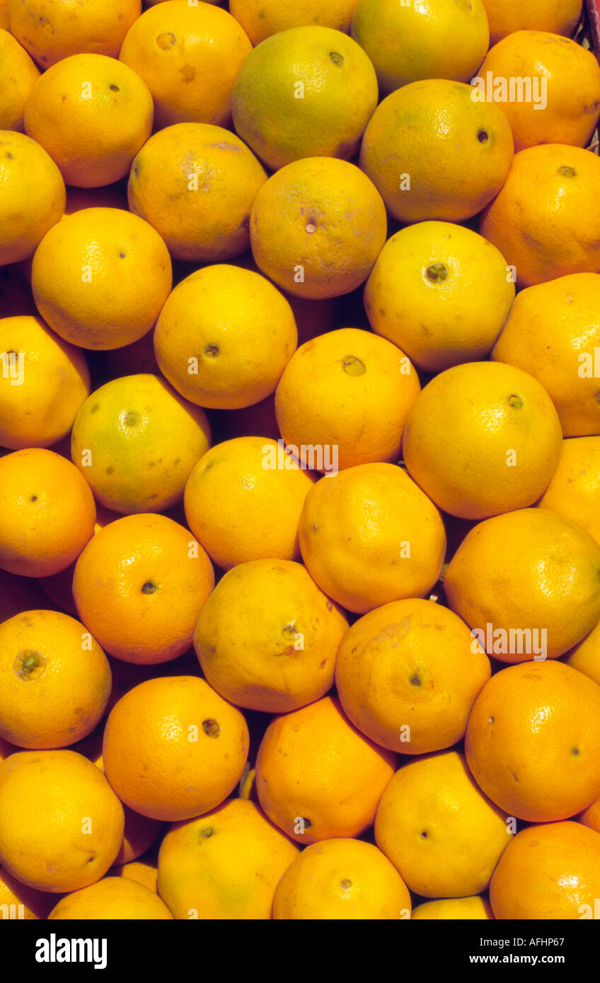 Oranges - Marrakesh, MOROCCO Stock Photo