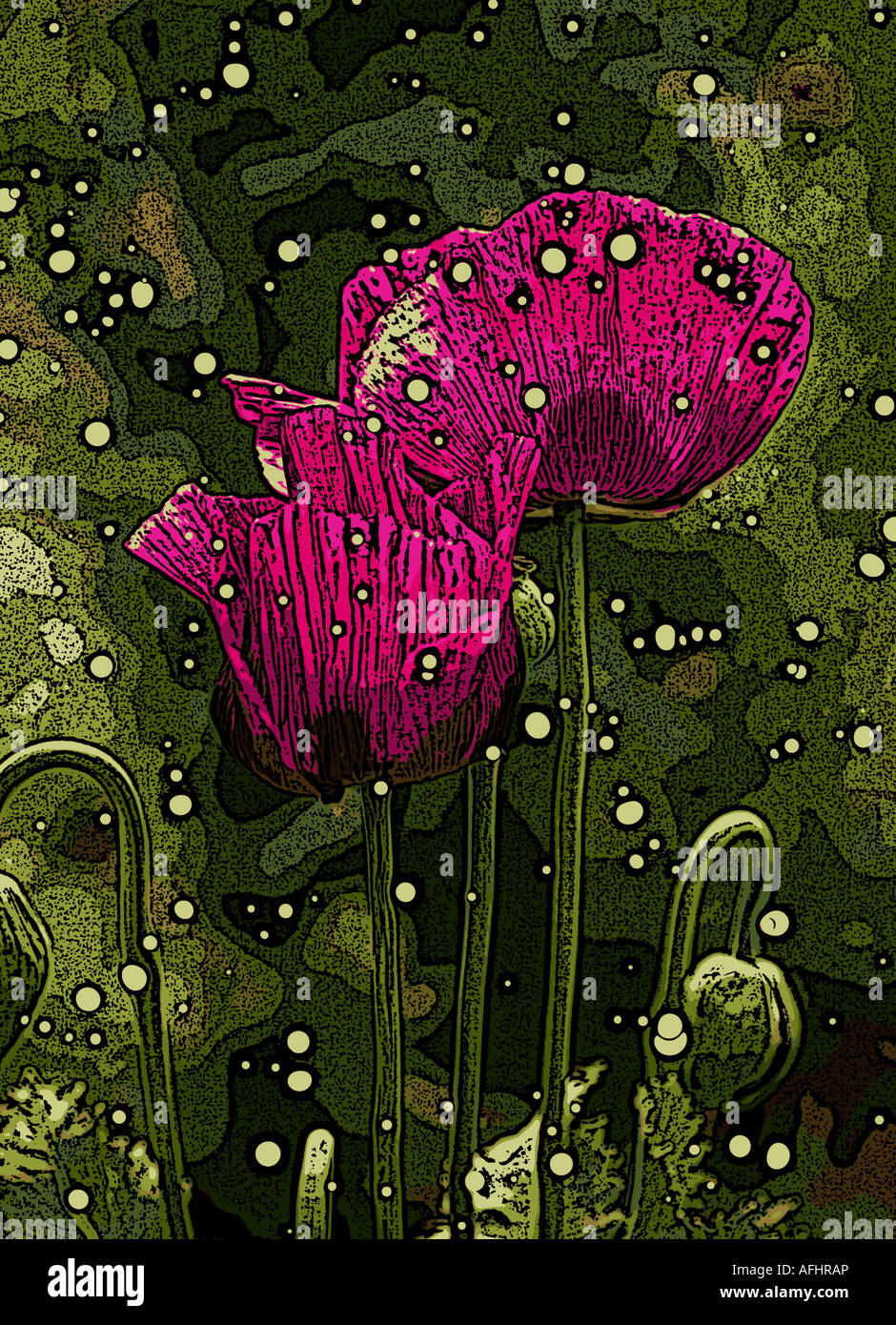 Poppy computer hi-res stock photography and images - Alamy