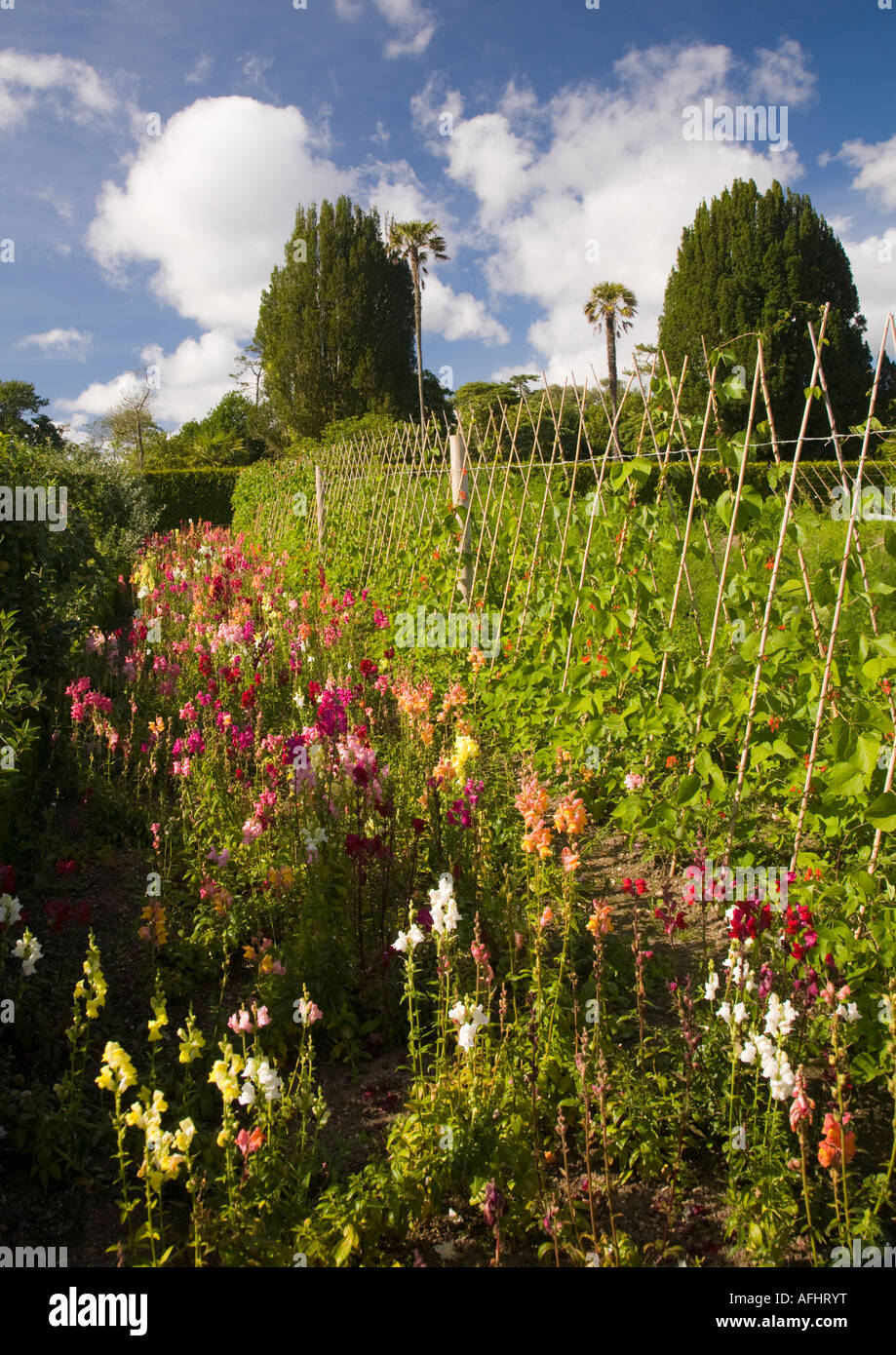 The gardens, created mainly in the 19th century, of were one of the finest gardens in England of their period, with 57 acres of  Stock Photo