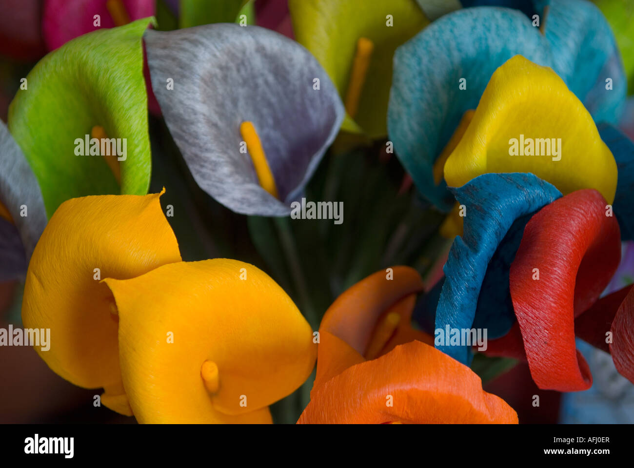 High angle view artificial hi-res stock photography and images - Alamy