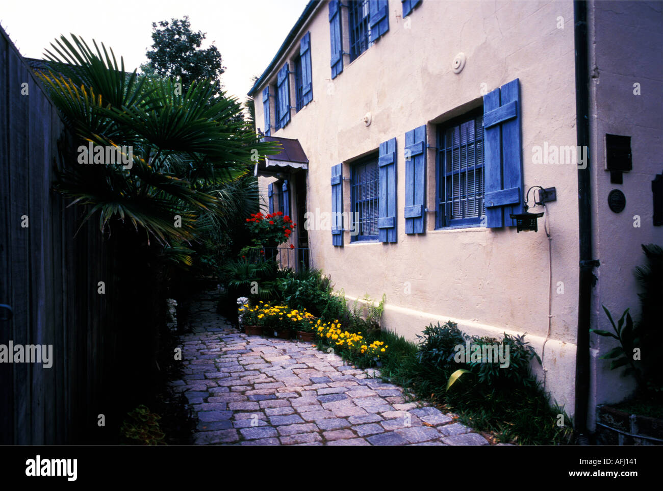 CHARLESTON SOUTH CAROLINA Typical antebellum home with earthquake bolts