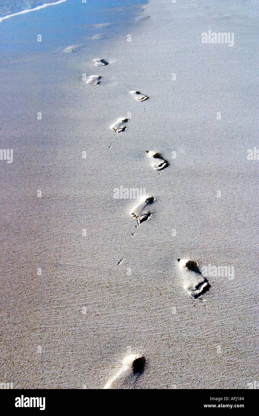 Disappearing footprints on secluded beach of Galapagos Islands Ecuador South America Stock Photo