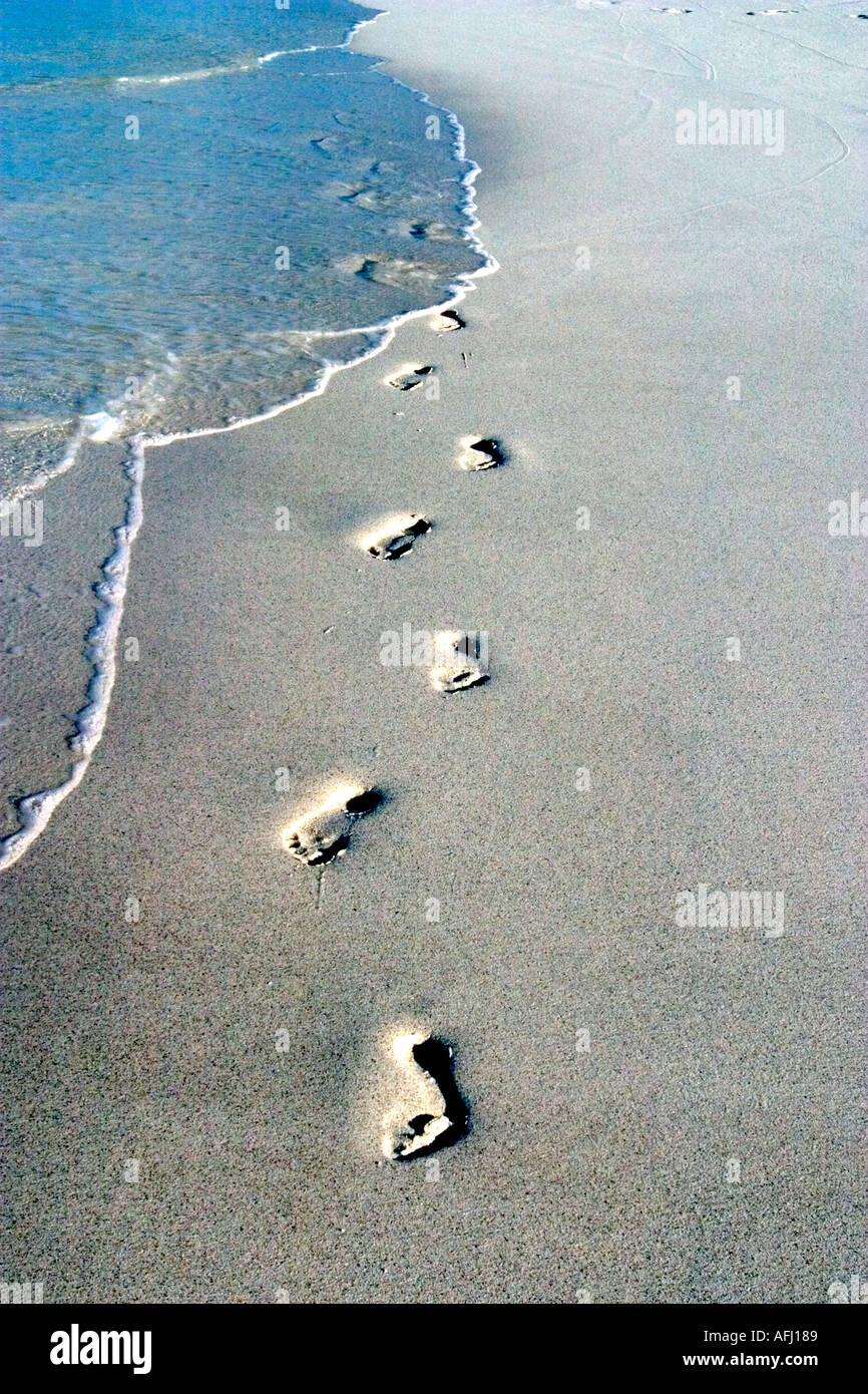 Disappearing footprints on secluded beach of Galapagos Islands Ecuador South America Stock Photo