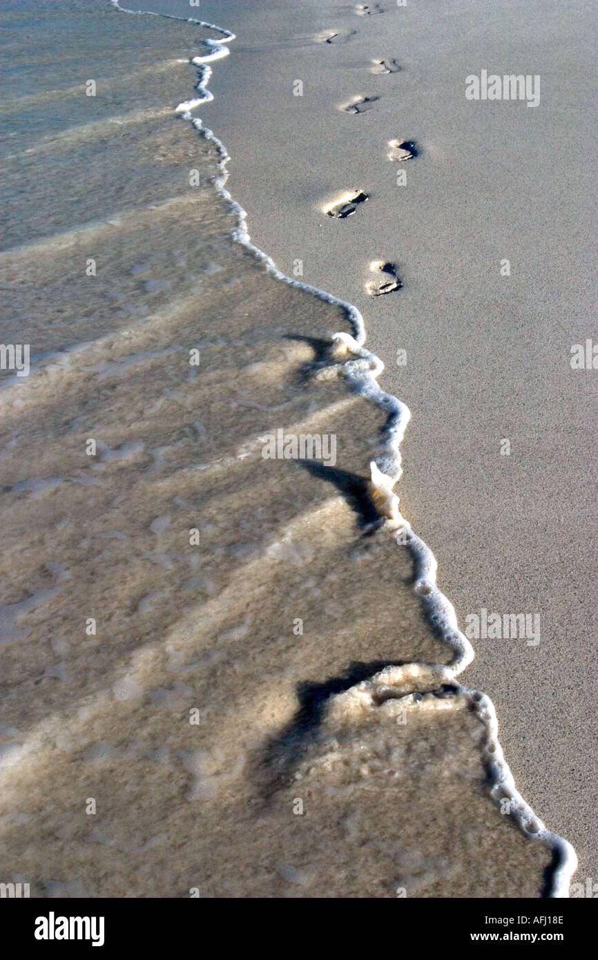 Disappearing footprints with waves lapping on secluded beach of Galapagos Islands Ecuador South