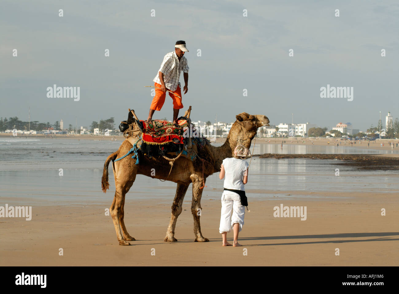 Excursions on camels hi-res stock photography and images - Alamy
