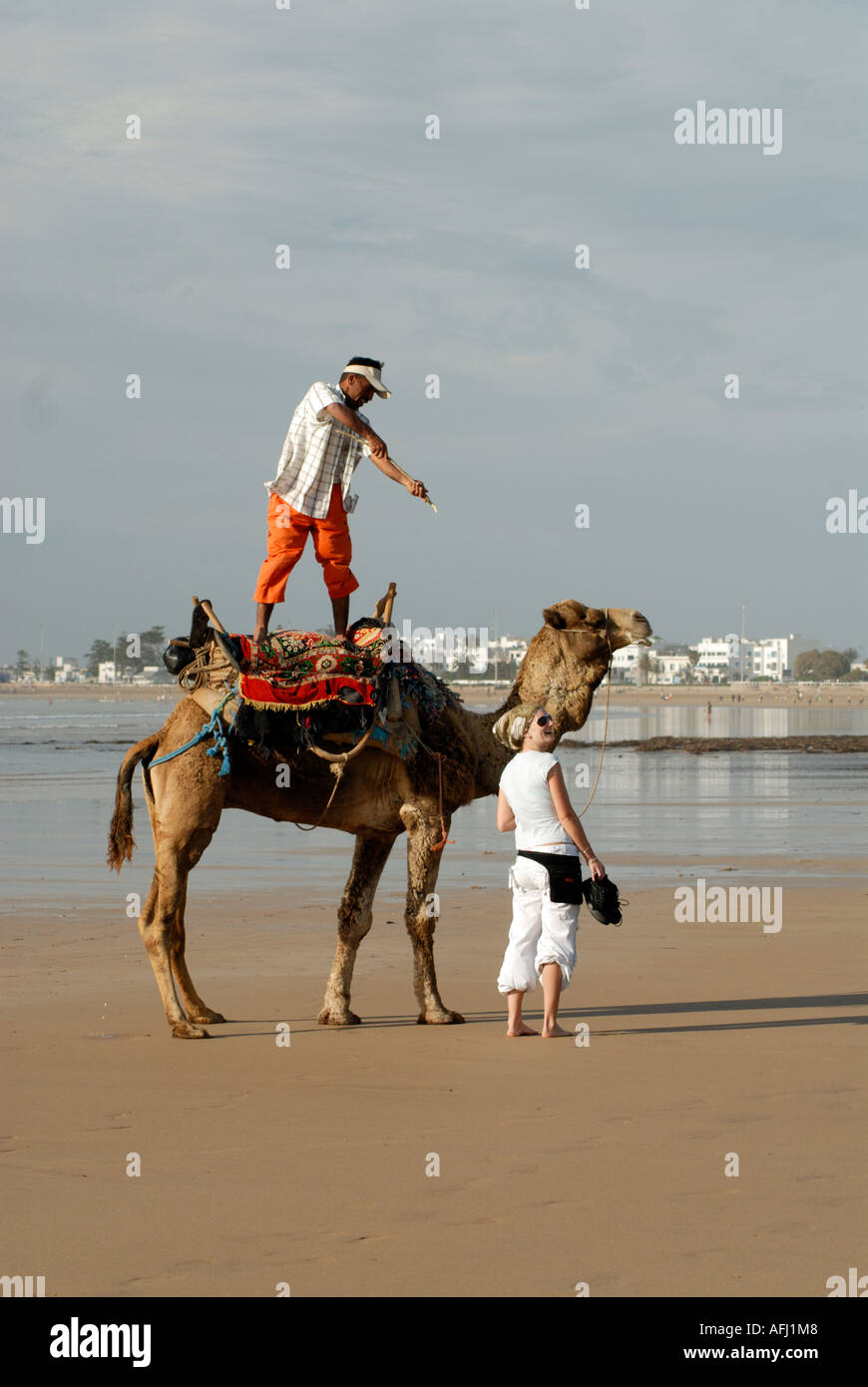 Phone Jacker Camel Rider Excursions on camels hi-res stock photography and images - Alamy