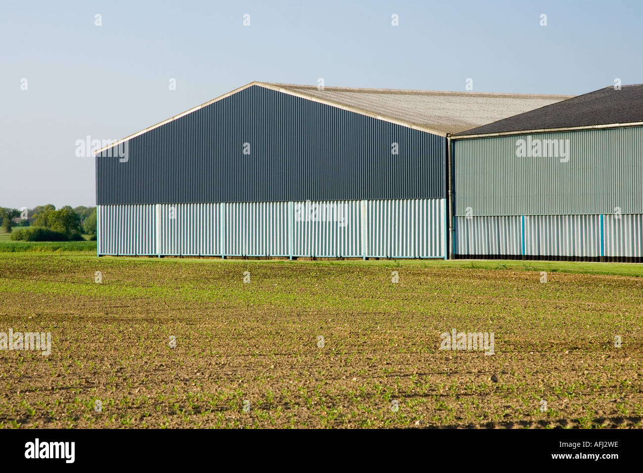 steel agricultural barn buildings Stock Photo Alamy