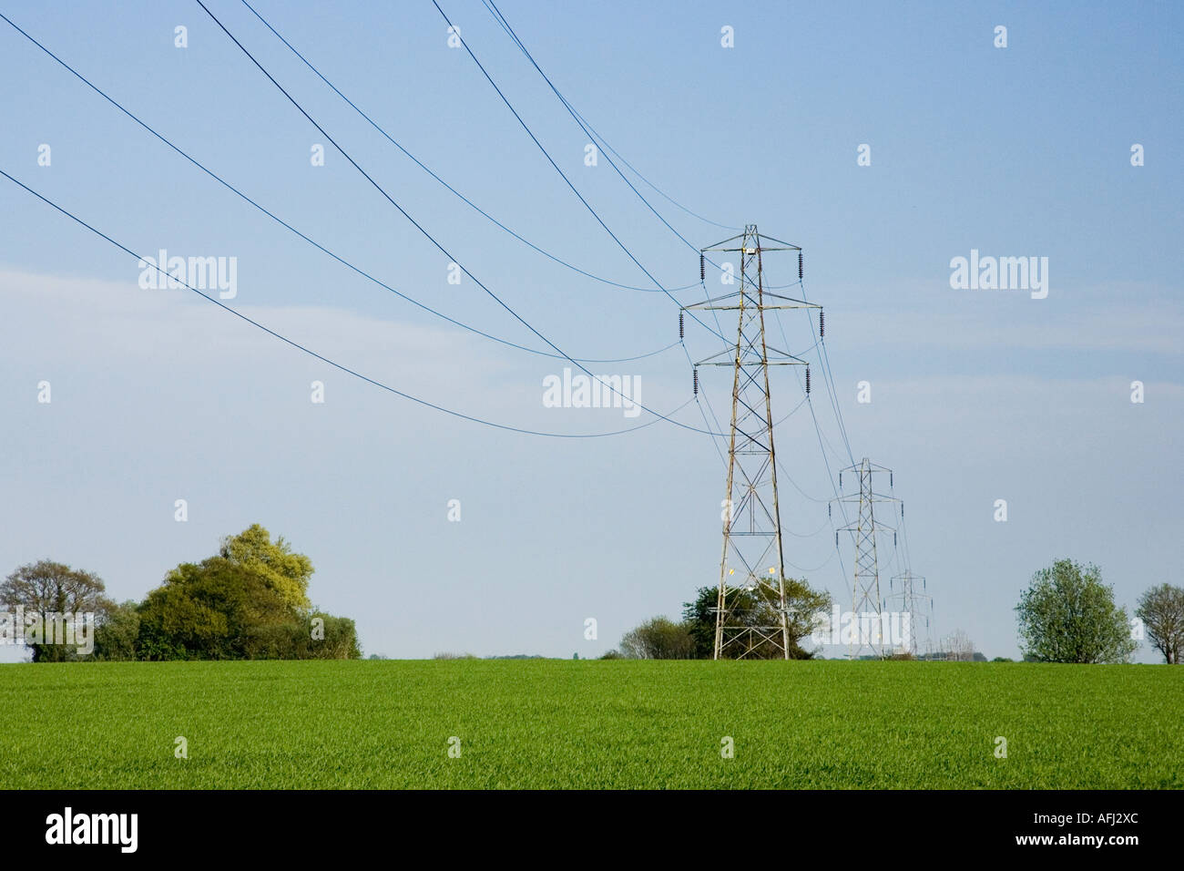 pylons and electricity power lines Stock Photo
