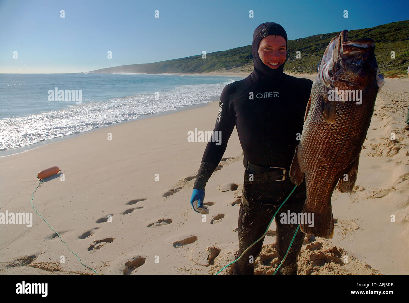 Spearfisherman with prize Western Australian jewfish or dhufish ...