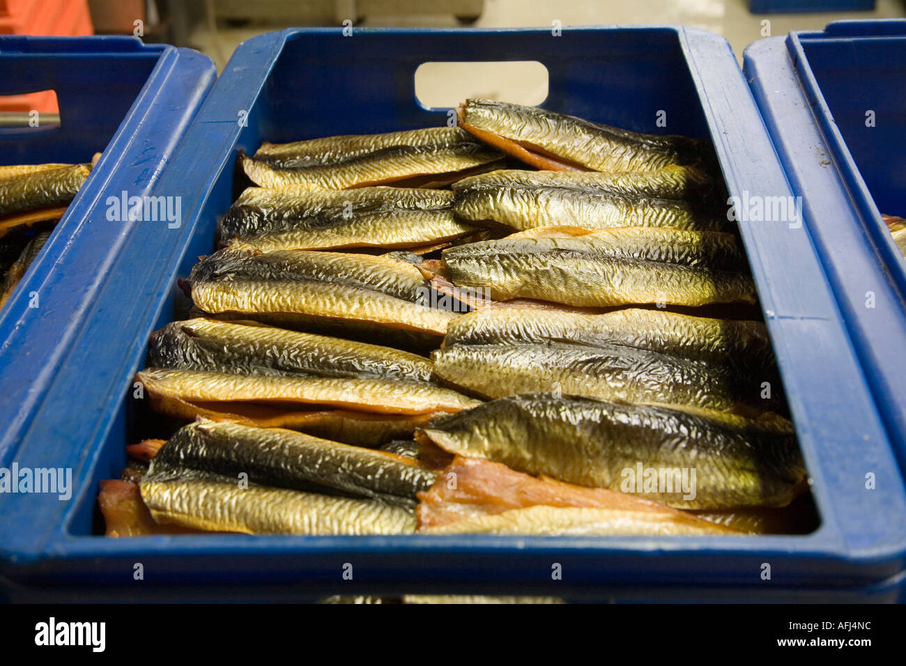 Herring fillets in box at L.Robsons & Sons who make the famous Craster