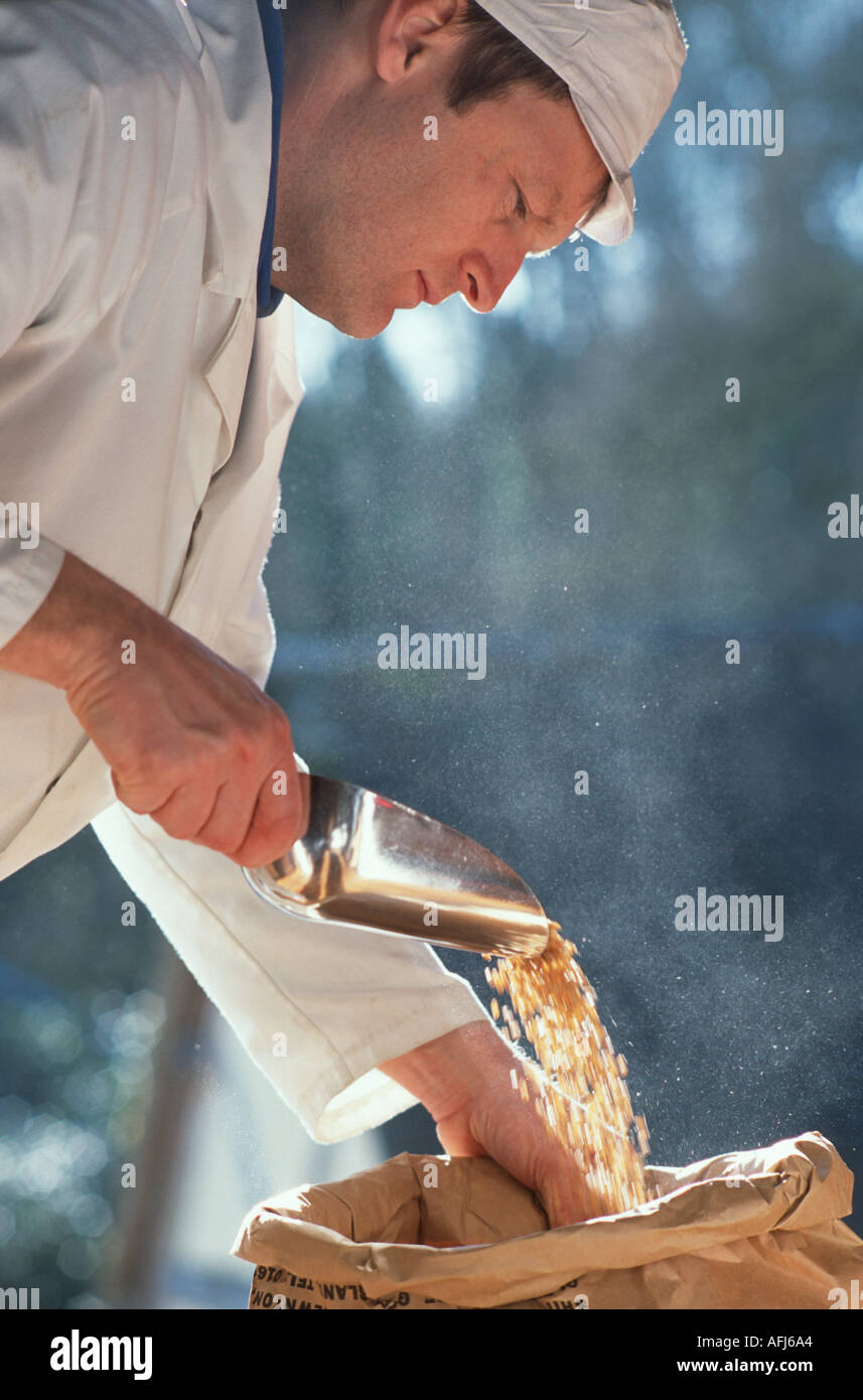 Miller scooping Organic wheat before it s milled to make flour Shipton