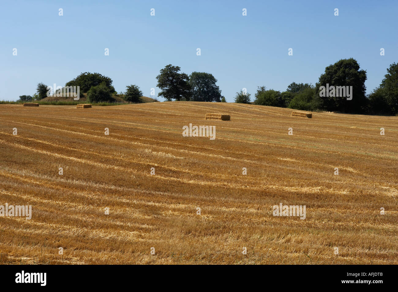 FIELD OF BARLEY STUBBLE WITH BAILS Stock Photo