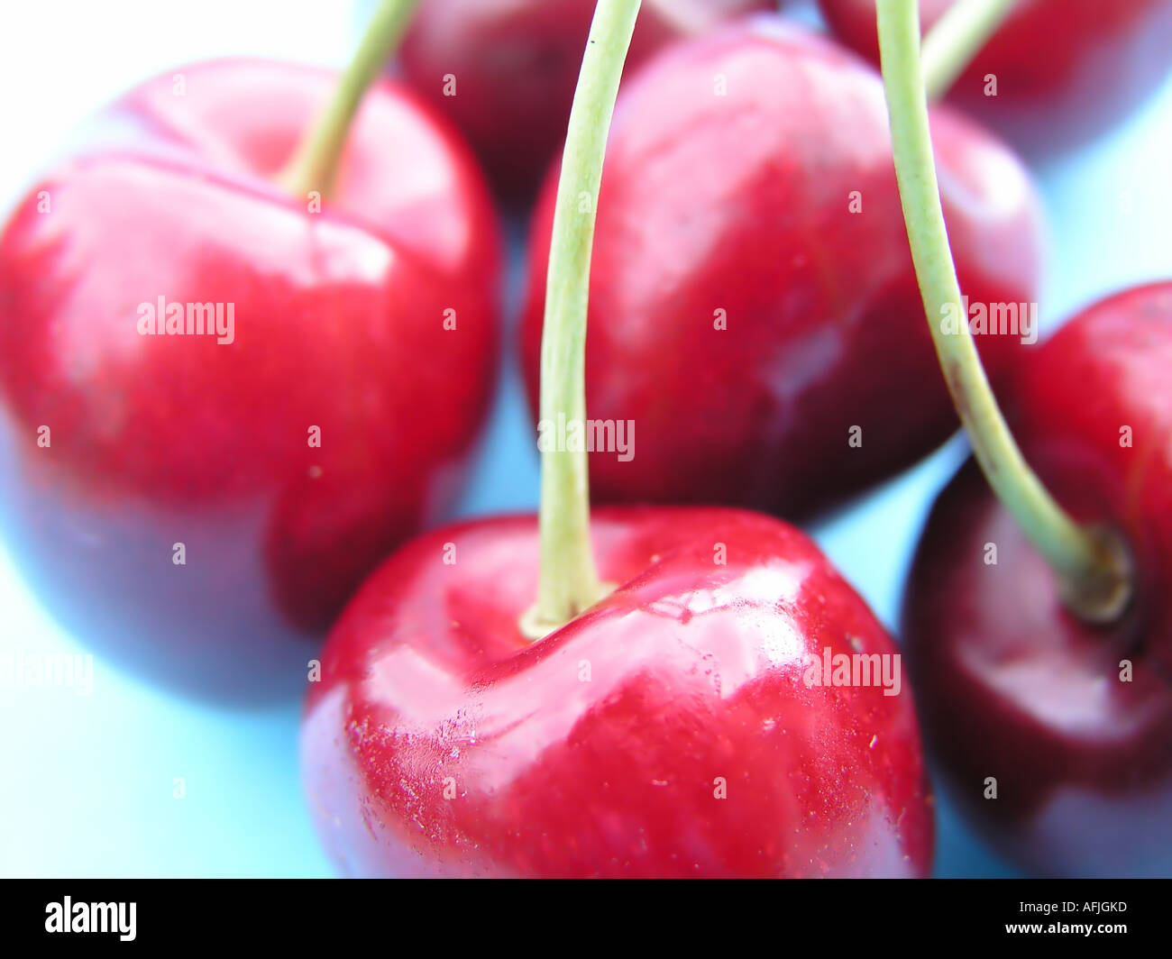 Fresh cherries Stock Photo