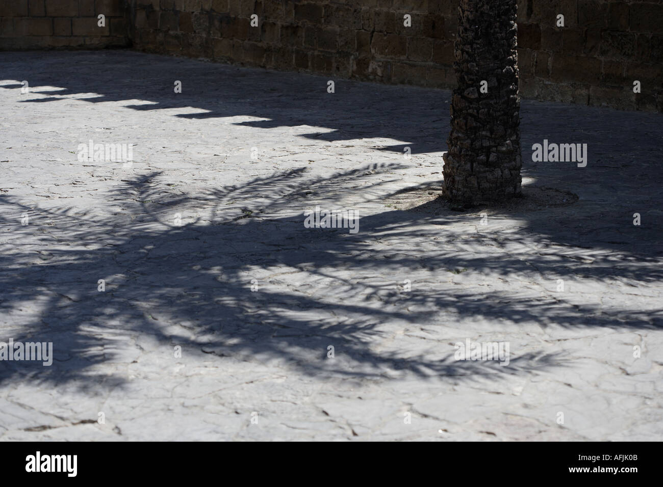 shade of a palm tree and castle Stock Photo
