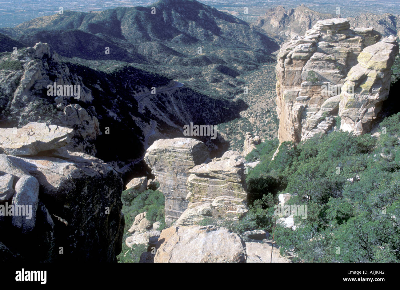 Rhyolite Formations, Chiracahua National Monument, Arizona, USA Stock Photo
