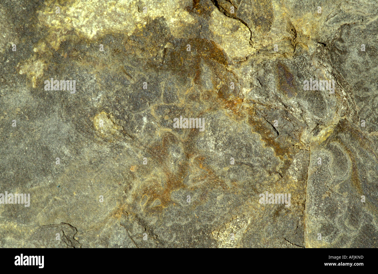 Concretion in Antrim Shale, Northern Michigan Basin Stock Photo