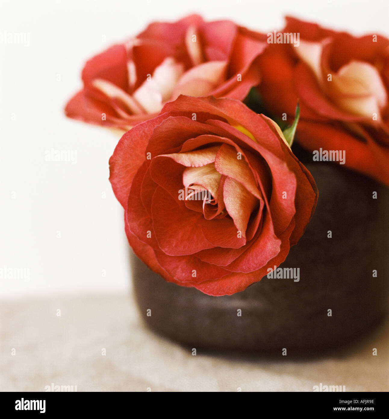 Posy bowl hi-res stock photography and images - Alamy