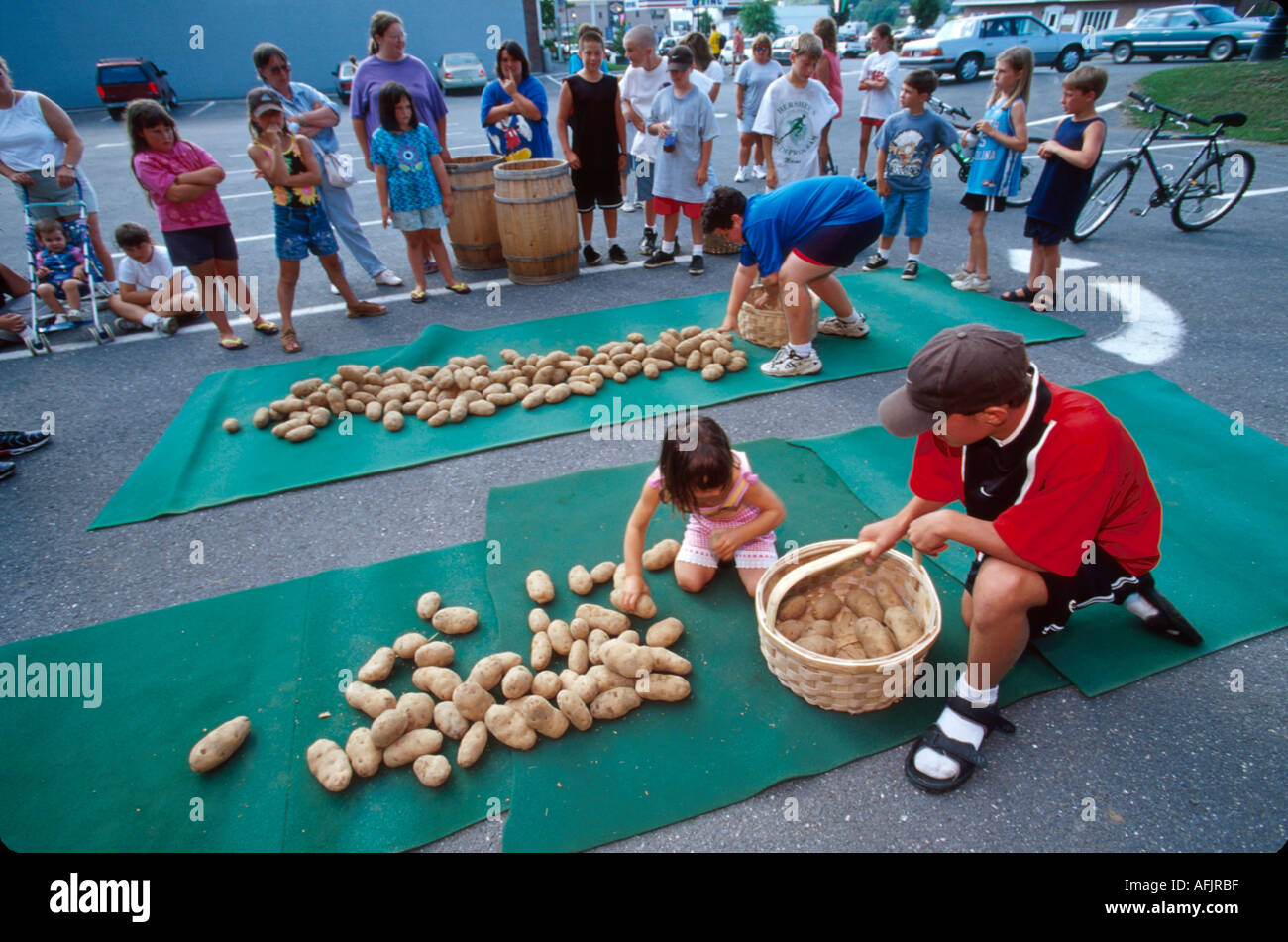 Maine potato blossom festival hires stock photography and images Alamy