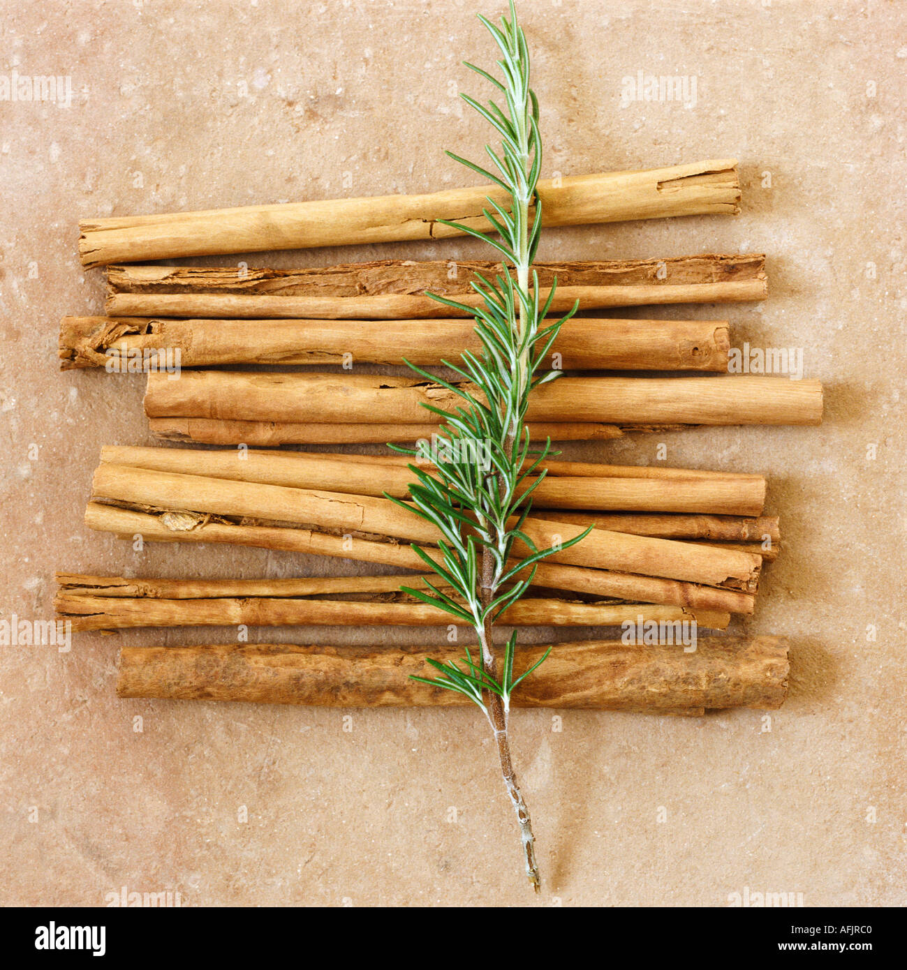 Cinnamon and rosemary on terracotta Stock Photo