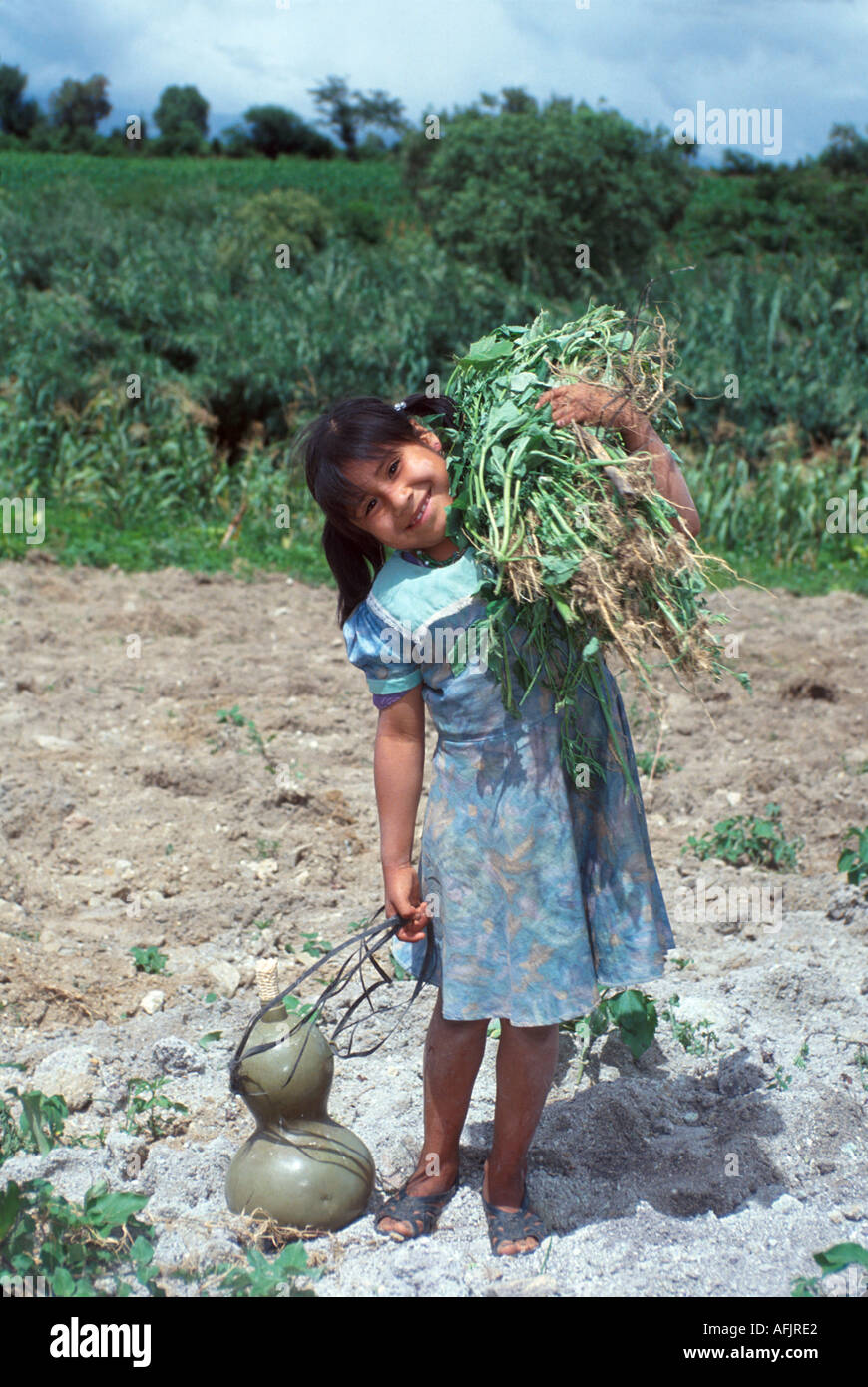 Mexico,Mexican,Central America,Pan,North Hispanic Mestizo,Oaxaca State,Magdalena Teitipac,Zapotec Indigenous girl,girls,child,carries harvest home,hou Stock Photo