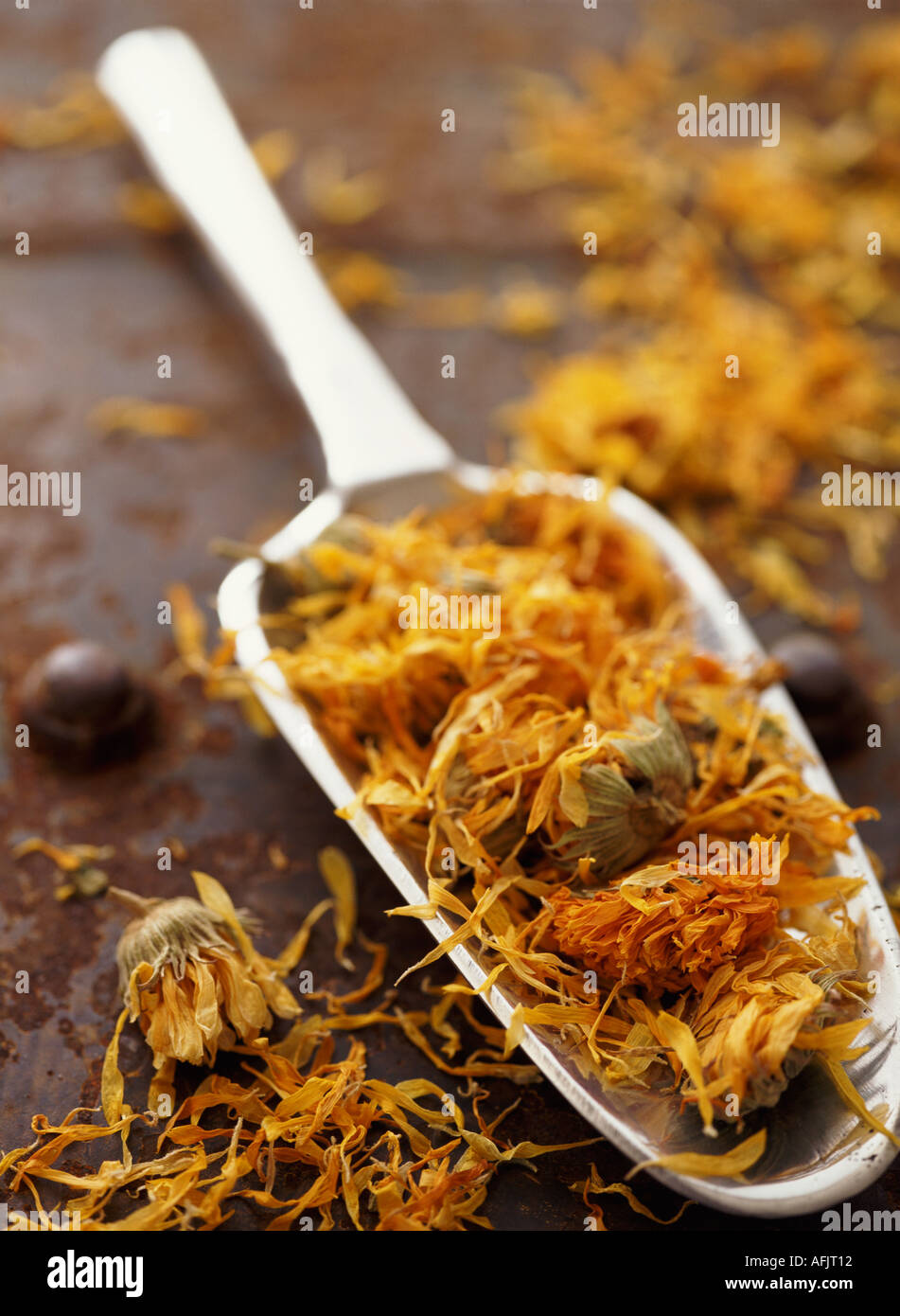 Dried marigolds Stock Photo